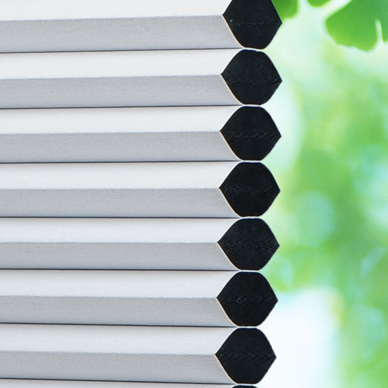 Blackout Single Cell Motorized Cellular Shades