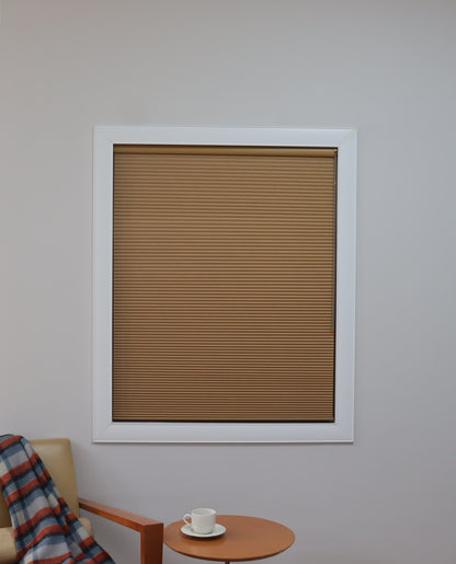 Light Filtering Double Cell Continuous Cord Loop Cellular Shades