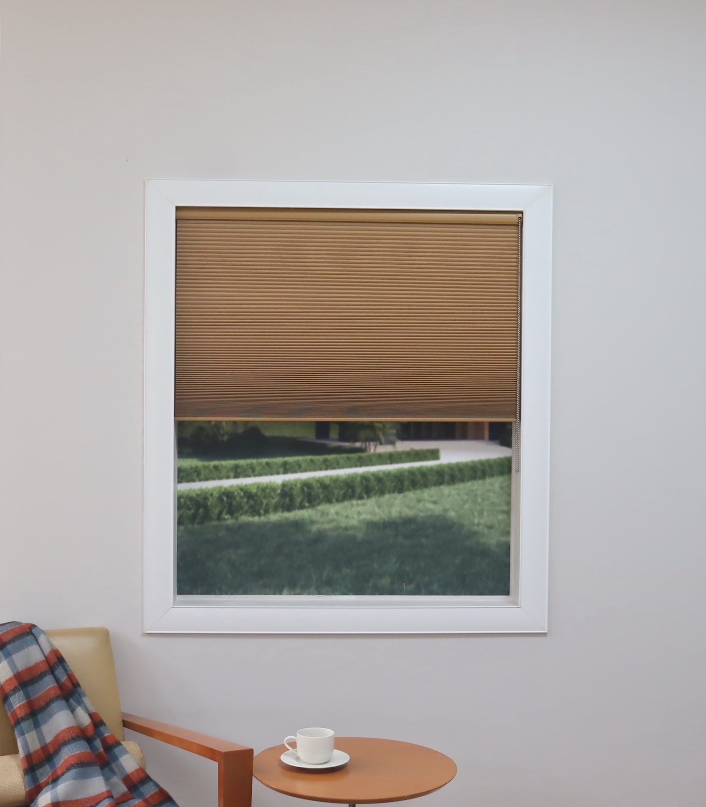 Light Filtering Single Cell Continuous Cord Loop Cellular Shades