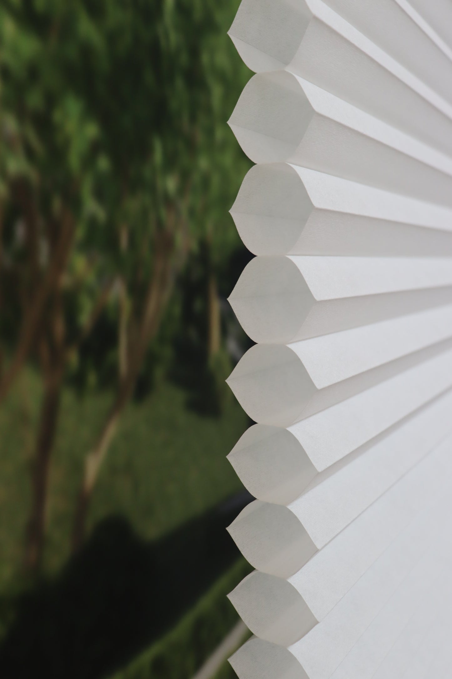 Light Filtering Single Cell Continuous Cord Loop Cellular Shades