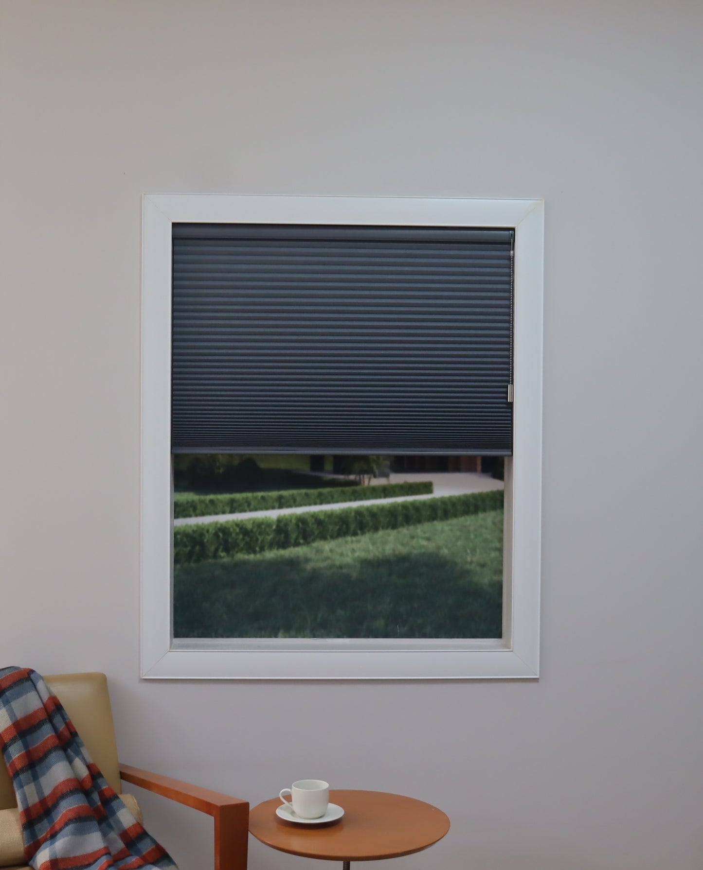 Light Filtering Double Cell Motorized Cellular Shades